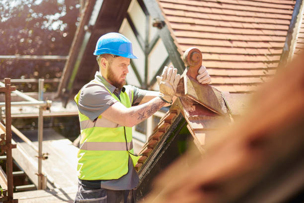 Best Roof Gutter Cleaning  in Oelwein, IA